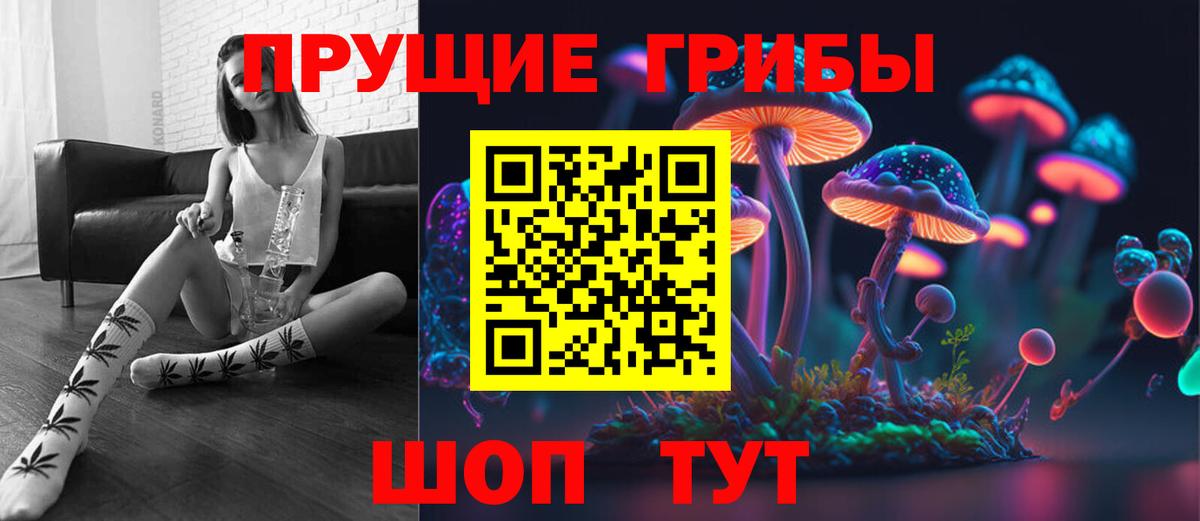 Галлюциногенные грибы Cubensis Верхняя Пышма